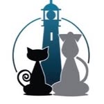 animal_lighthouse profile picture