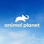 animalplanet
