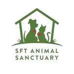 animalsanctuary_tangier profile picture