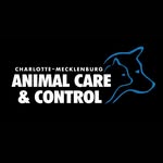 animals_clt profile picture