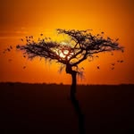 animals_lovers_official_ profile picture