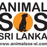 animal_sos_srilanka profile picture