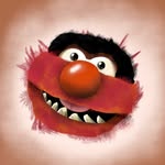 animalthepuppet_ profile picture
