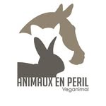 animauxenperil_veganimal profile picture