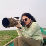 aninditanandi.wildlife profile picture