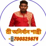 anirbansastri01 profile picture