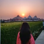 anishasaurabh_v profile picture