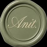 anit.agencia profile picture