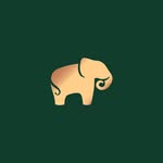 anitadongre profile picture