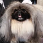anitaherro profile picture