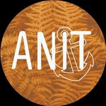 anit_swimwear profile picture