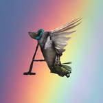 aniwa.co profile picture