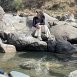 anjaligupta04 profile picture