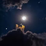anjaliitripathi__ profile picture