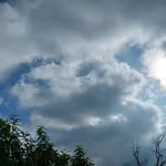 anjali_rwt____ profile picture