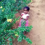 anjaly.sreedharan profile picture