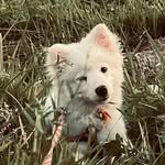 anjii_ch profile picture