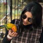 anju_alphin profile picture