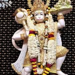 anjukumari5356 profile picture
