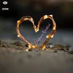 anjumaara._.shakil profile picture