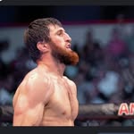 ankalaev_magomed profile picture