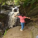 ankita_slowliving profile picture