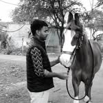 ankit_carpenter1 profile picture