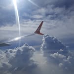 ank_itkumar3183 profile picture