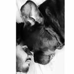 ankitmourya1134 profile picture