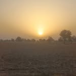ankitsingh_rajput.07 profile picture