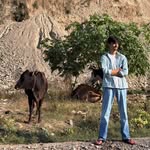 ankushthakur07_ profile picture