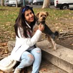 ankzbhargava profile picture