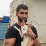 anmolraina13 profile picture