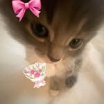 anna_a815 profile picture