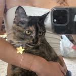 annaabreadd profile picture