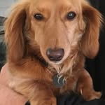 annagug profile picture
