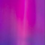 anna__korte profile picture