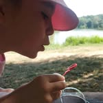 anne_arlot profile picture