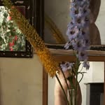 annelie_bruijn profile picture