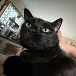 anneliese.fm profile picture
