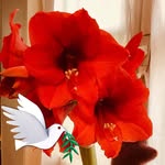 anne_marie_dubos profile picture
