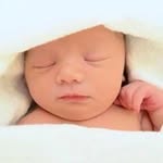 annemarieroddy profile picture