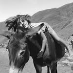 annerearick profile picture
