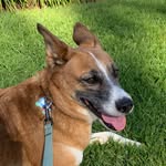 annie.is.orange profile picture