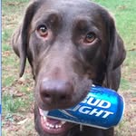 annkmccarthy profile picture