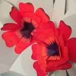 annyerrandonea_nailsartist profile picture