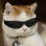 anonymousshifu_19 profile picture