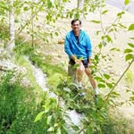 anoop.mahajan.7 profile picture