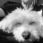 anouk_nisha_and_yoshi_akira profile picture