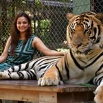 anshika24oct profile picture